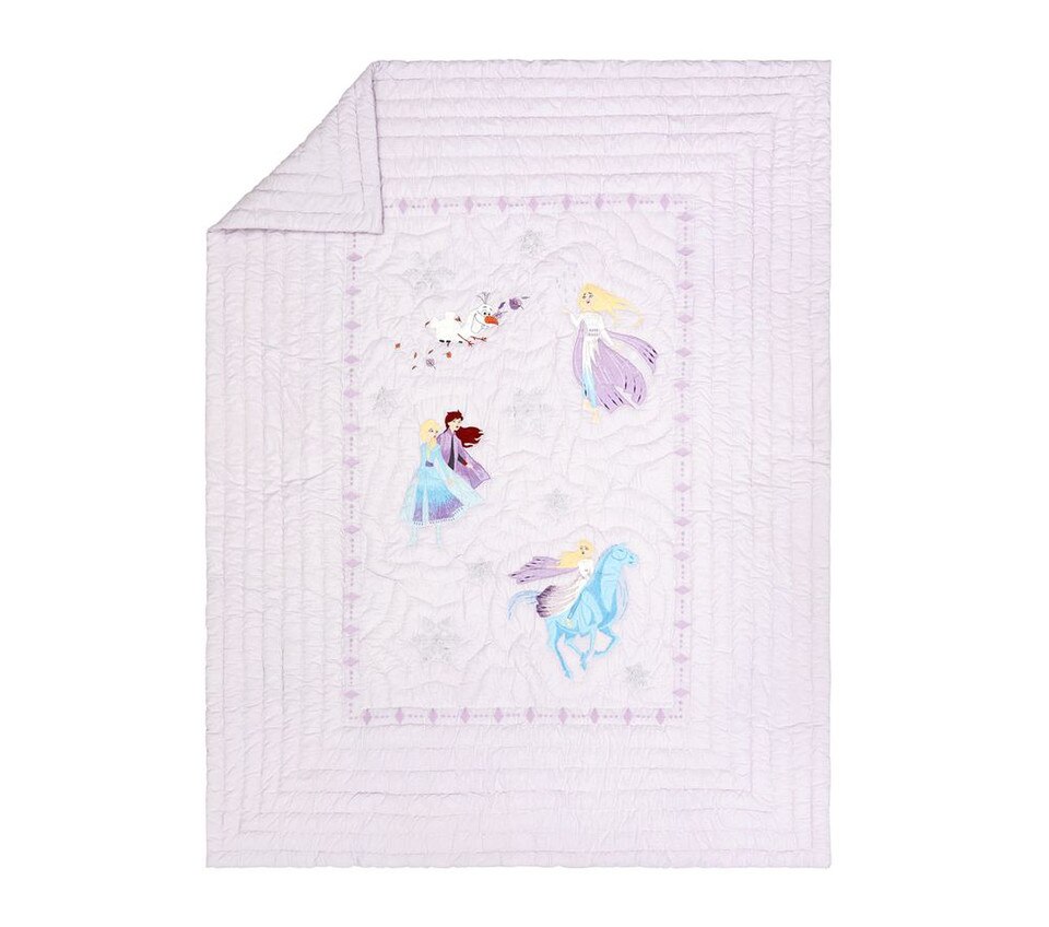 Disney Frozen Enchanted Forest Comforter & Pillowcase