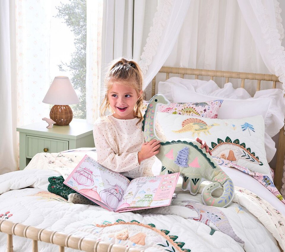 Heritage Dino Comforter & Pillowcases