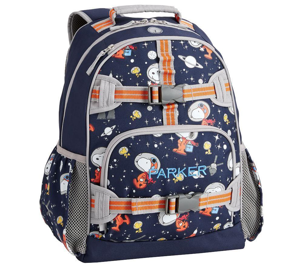 snoopy luggage cover
