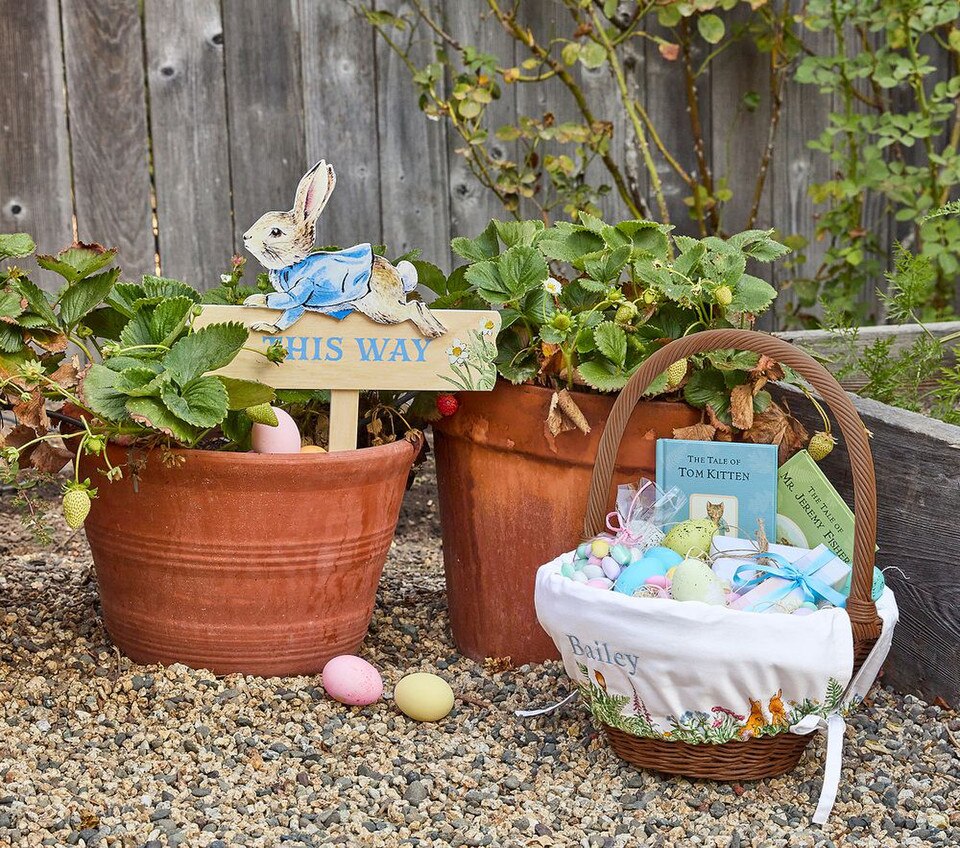 Peter Rabbit™ Easter Basket Liners | Pottery Barn Kids AU