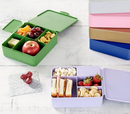 Spencer Bento Box Containers Pottery Barn Kids Au